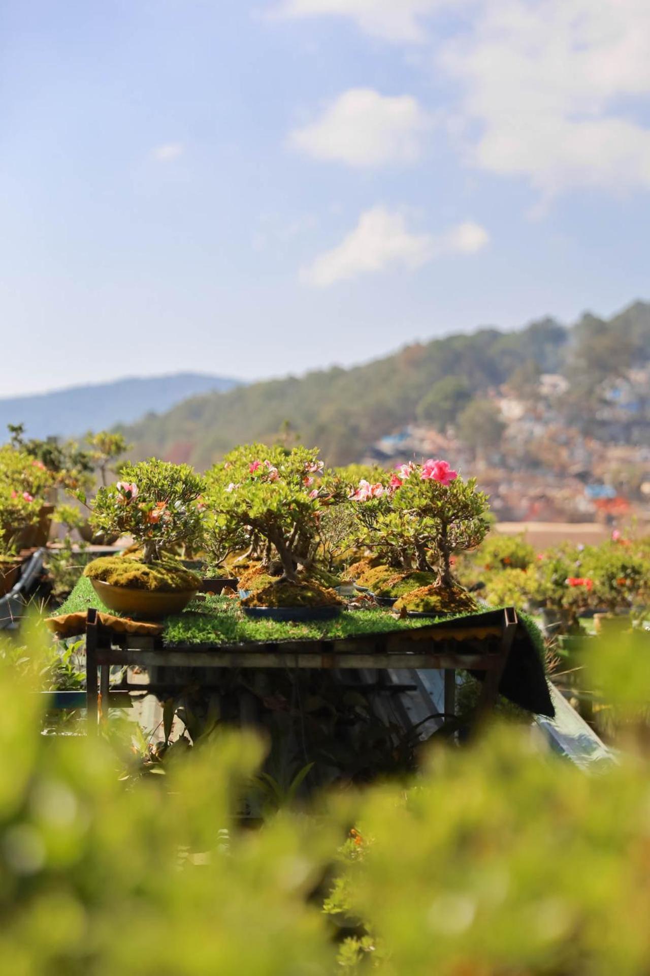 Ziczac Homestay Dalat Exteriör bild
